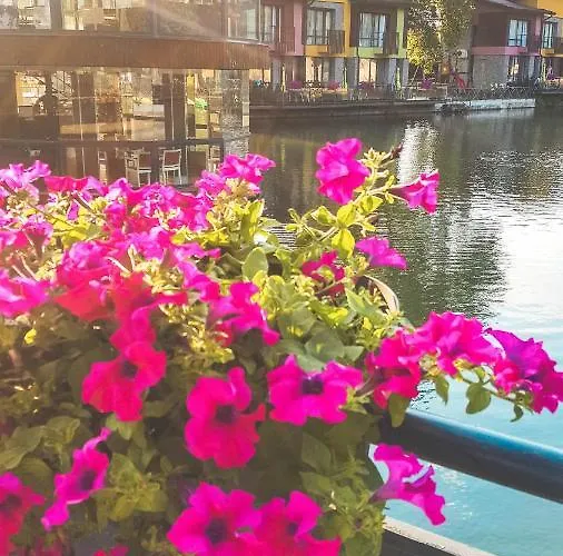 Θέρετρο Waterside Ognyanovo (Blagoevgrad)